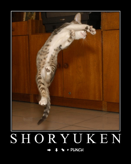 shoryuken!